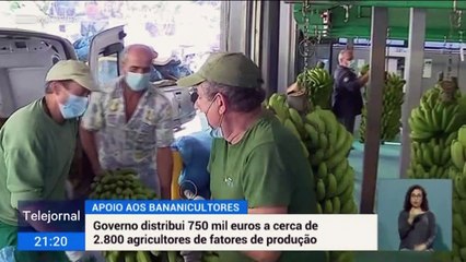 Governo Regional distribui 750 mil euros a cerca de 2800 agricultires de banana