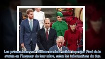 Harry et William - les deux frères sont tombés d'accord pour la statue en hommage à leur mère