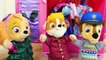 Paw Patrol Snuggle Pups Complete Best One Hour Toy Learning Video