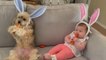Dog And Baby Wearing Bunny Ears Headbands Eat Carrots on Couch