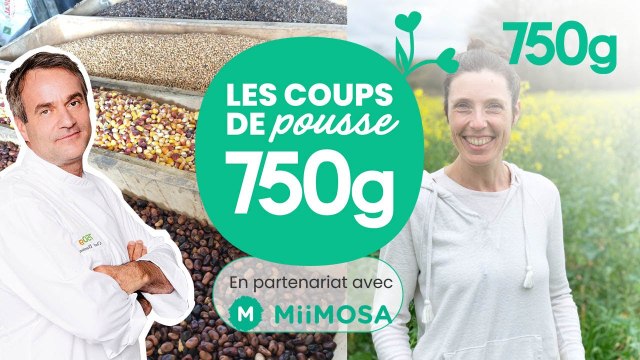 Chef Damien aide Stéphanie une paysanne du grain au pain (projet 2 Miimosa) - 750g