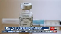 What are COVID vaccines made of and are they effective?