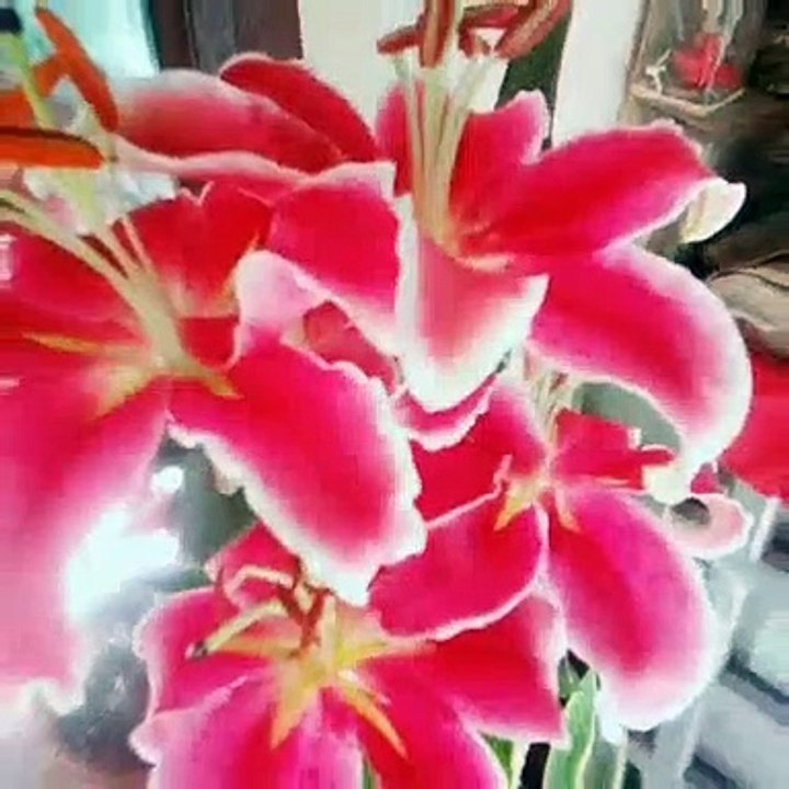 so pretty 