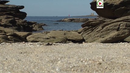Quiberon   |  Confinés en bord de mer - TV Quiberon 24/7