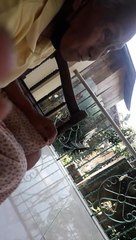 LOLA WHILE TALKING WITH BEBE LOVES