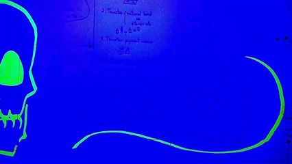 Chapter X | SKuLL SQuaLL | Taxpayer 2