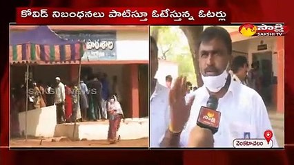 నెల్లూరు జిల్లా లో జెడ్‌పిటిసి ఎంపిటిసి ఎన్నికల పోలింగ్