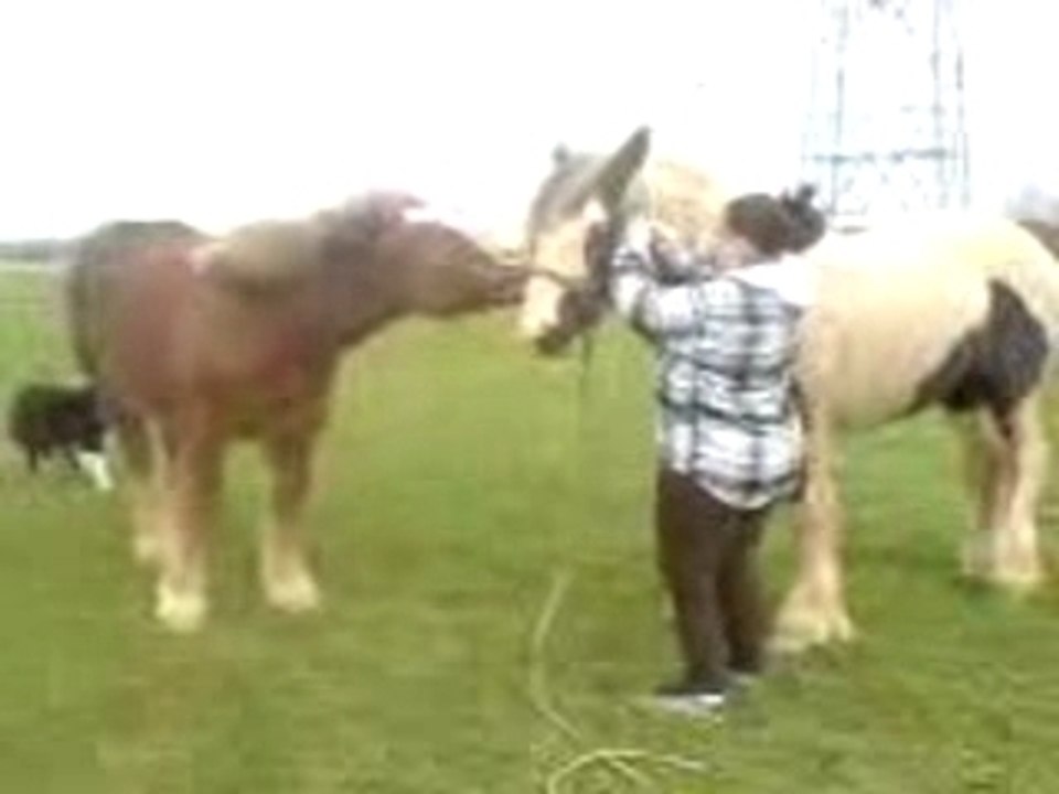 TITEUF et SIRIUS