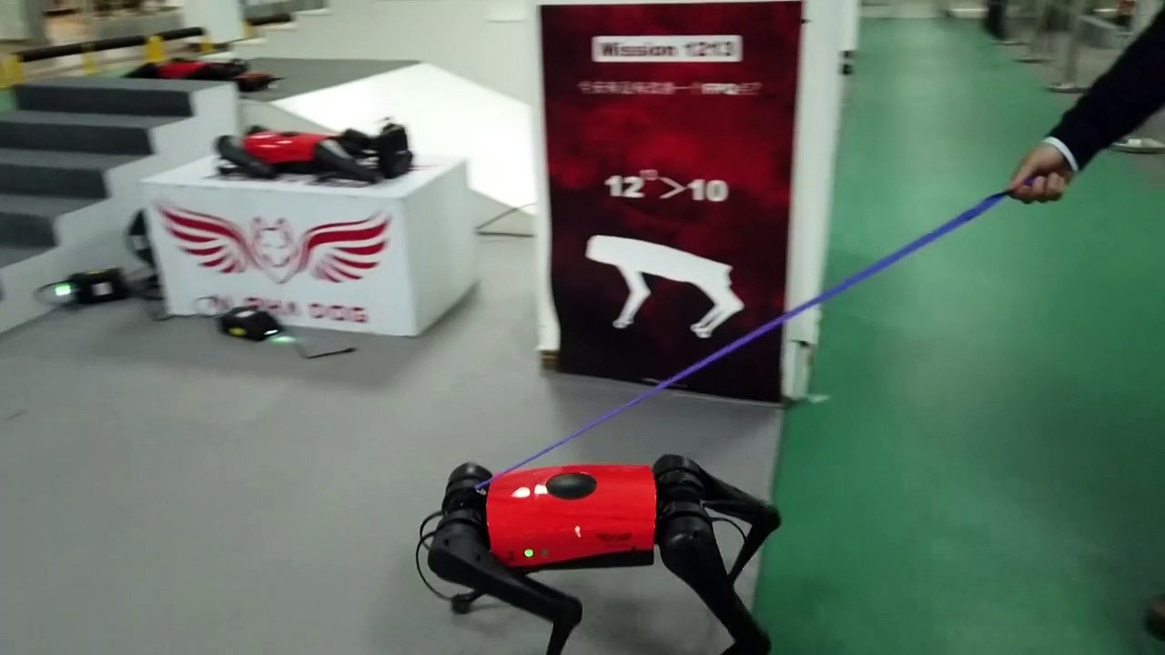 The ulti-mutt pet? Chinese tech company develops robot dogs