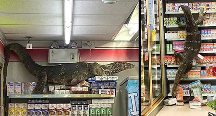 Markette büyük panik! Gören şaşkına döndü