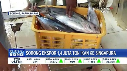 Sorong Ekspor 1,4 Juta Ton ke Singapura, Selanjutnya Eropa Jadi Sasaran!