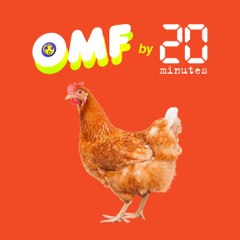 L'abattage de volailles Halal bientôt interdit en France ?