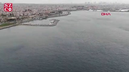 Denizlerde yaklaşan tehlike: İstilacı türler artacak balıkçılıkta verim düşecek