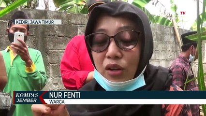 Satu Kampung Budidaya Kurma Organik di Lahan Sempit