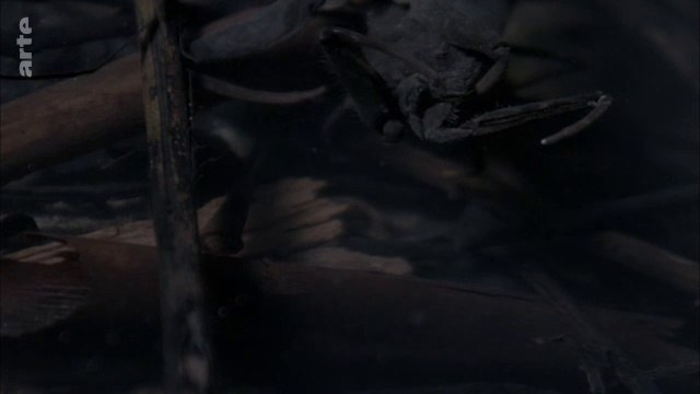 Palawan, la rivière mystérieuse