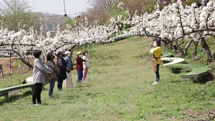 [녹색] '코로나 스트레스' 꽃밭에서 날린다! / YTN
