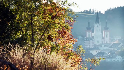 SOKO Wien: Auf Abwegen | Folge 11/Staffel 12