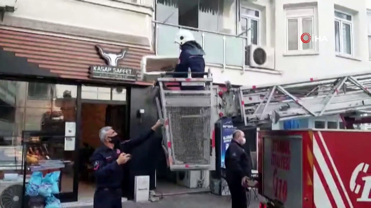 Balkondan düşen yavru kediler martılara yem olmaktan böyle kurtarıldı