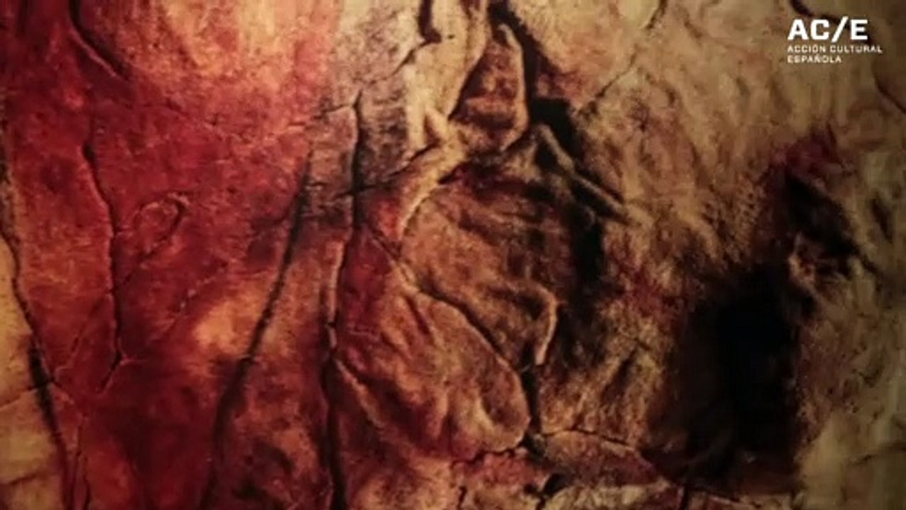 El Museo Arqueológico Nacional  inaugura la exposición temporal Arte prehistórico, de la roca al museo.