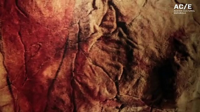 El Museo Arqueológico Nacional inaugura la exposición temporal Arte prehistórico, de la roca al museo.