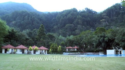 Corbett Ramganga Resort