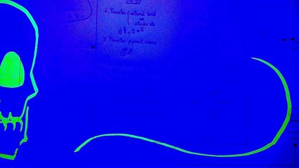 Chapter Y | SKuLL SQuaLL | Reverse Charge Mechanism