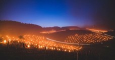 Ces images spectaculaires montrent les vignes de Bourgogne encerclées par les flammes, une technique pour lutter contre le gel