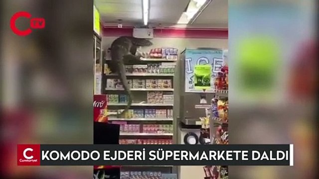 Tayland'da komodo ejderi bir süpermarkete daldı