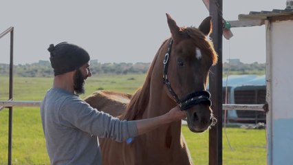 تحديات وصعوبات تواجه مربي الخيول العربية الأصيلة شمال سوريا