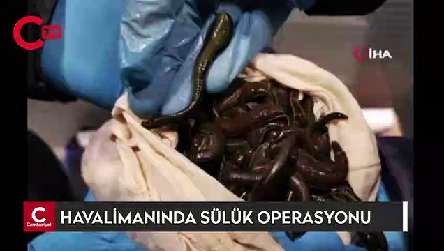 Sabiha Gökçen Havalimanı’nda sülük operasyonu