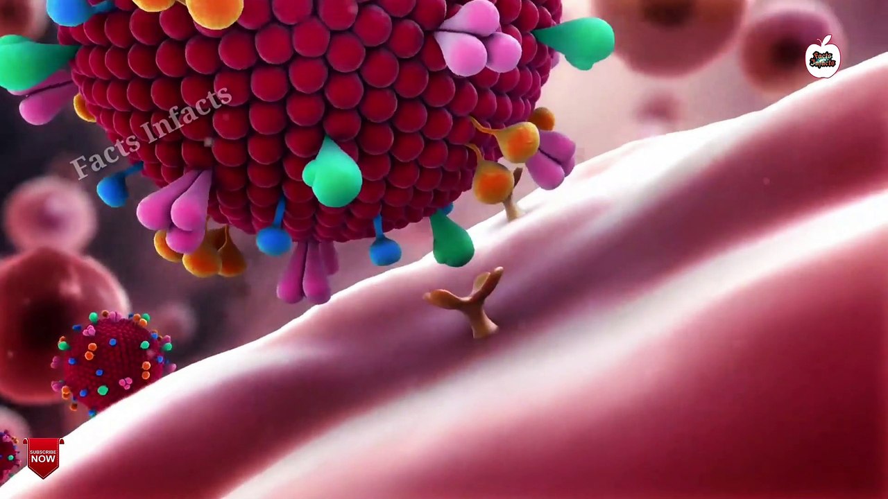 Coronavirus_Facts_In_Hindi .