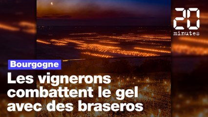 Bourgogne : Les vignerons de Chablis combattent le gel avec des braseros