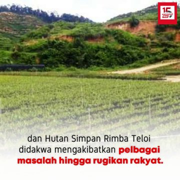 Kaji semula projek musang king