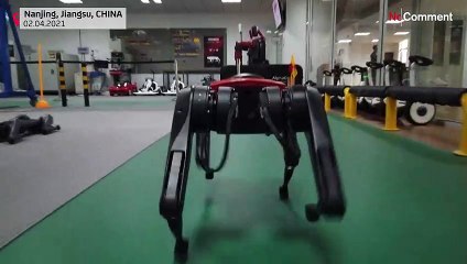 Chinese tech company develops robo dogs