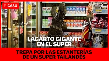Un lagarto gigante trepa por las estanterías de un súper tailandés