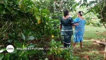 Wallis-et-Futuna - Les colliers de fleurs