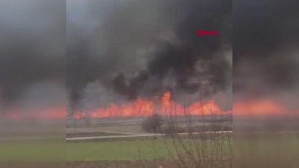 ÇORUM GÖLÜNYAZI KUŞ CENNETİ'NDE YANGIN