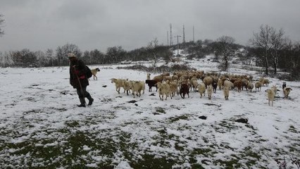 BALKANLAR ÜZERİNDEN GELEN KAR İLE TRAKYA BEMBEYAZ-1 )