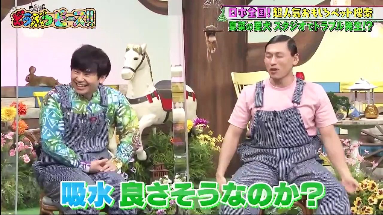 どうぶつピース！！2021年4月8日 -(edit 2/2)