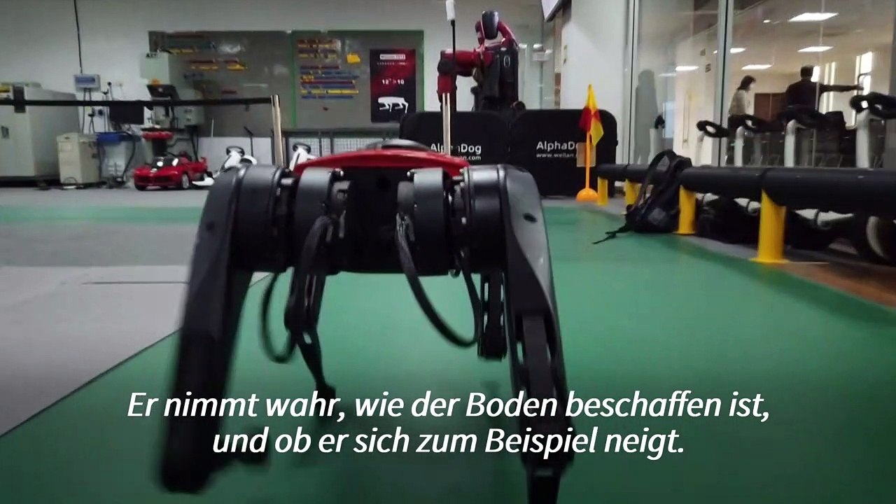 Roboterhund überwindet jedes Hindernis