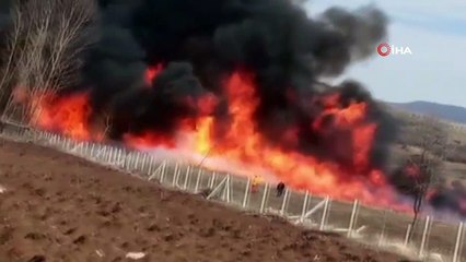 Çorum’daki ‘kuş cenneti’nde korkutan yangın