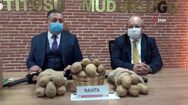 Niğde’de geliştirilen yerli patates tohumu Avrupa yolunda