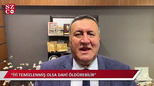 Akdeniz'deki zehirli balık meclis gündemine girdi: Önlem alınmalı