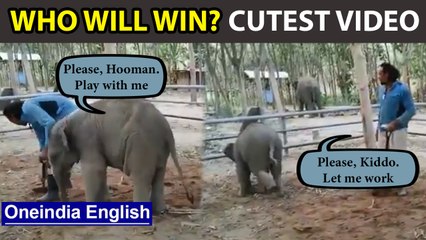 Elephant calf tries to get the worker play, Video goes viral | Oneindia News