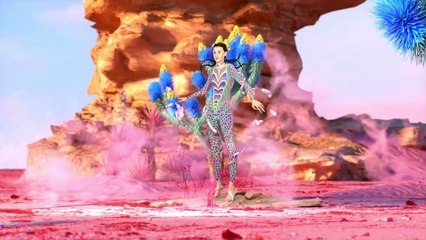 Desigual y maría Escoté 3D (3)