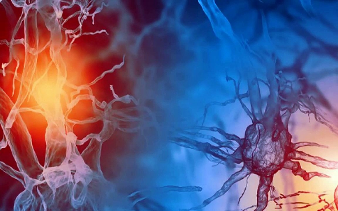 ¿Cambiaste de peso durante la pandemia? Tus hormonas del estrés pueden ser las culpables