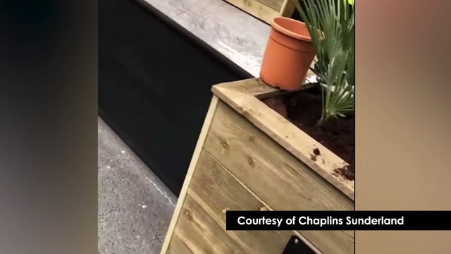 Sunderland bar Chaplins prepares beer garden for opening