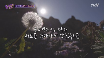 오늘 찰나라도 우리가 서로의 시간에 깃들었다면... 그 또한 마법 같은 일☆
