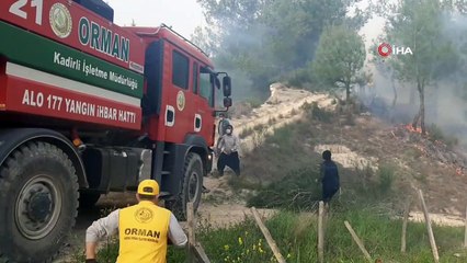 Yaşlı adam, çıkardığı orman yangınını çalıyla söndürmeye çalıştı