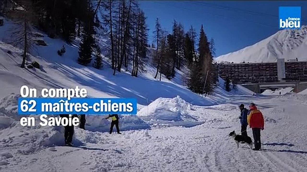 La Plagne : une simulation d’avalanche pour l’entraînement des maîtres-chiens